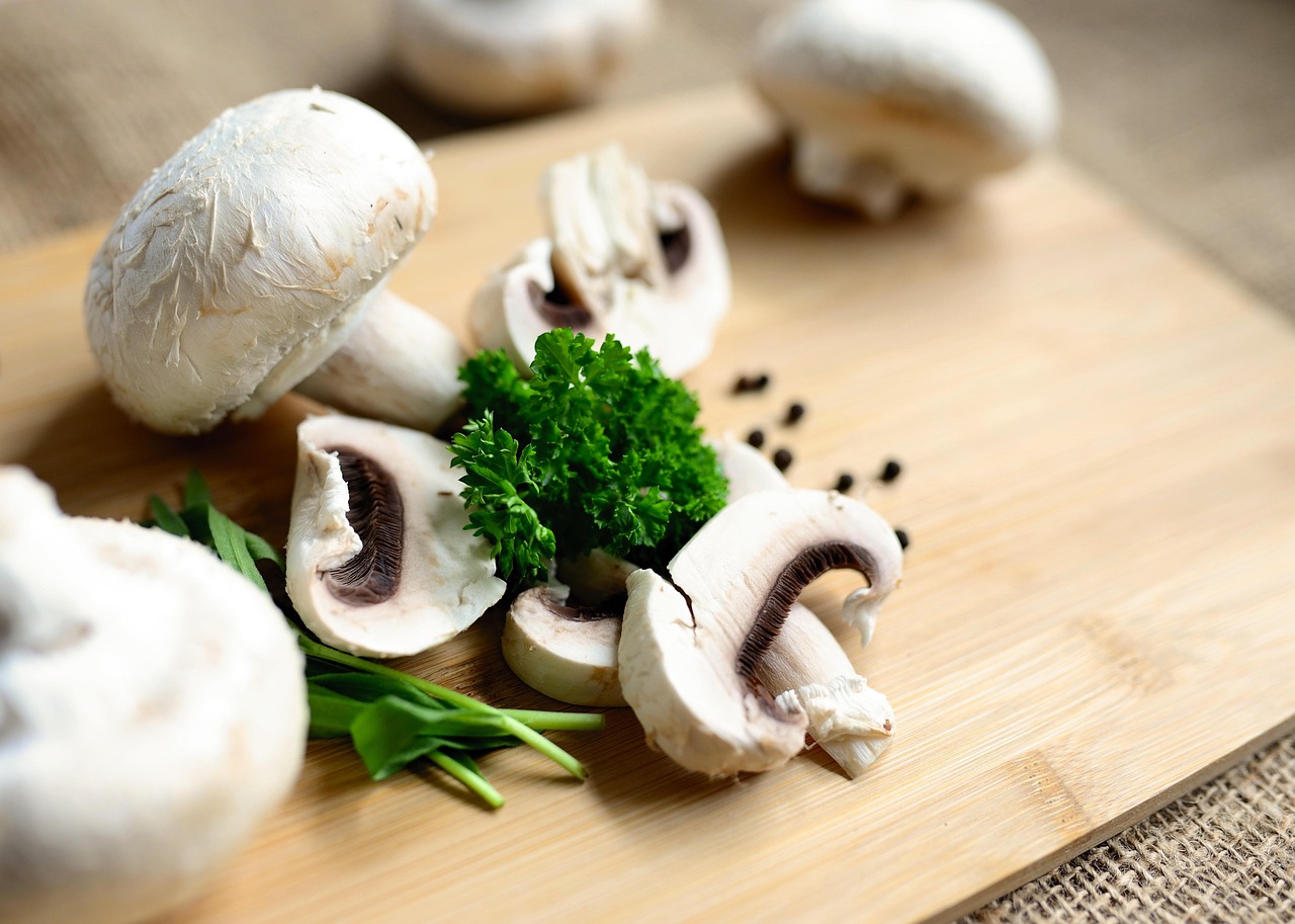 schnelle vegetarische rezepte für gesunde und leckere mahlzeiten, die in kurzer zeit zubereitet werden können.