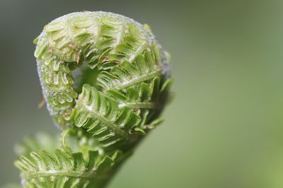 hauskauf finanzierung tipps für angehende eigenheimkäufer